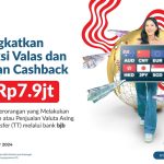 Untung Besar! Nikmati Cashback Valas di bank bjb Selama HUT RI ke-79