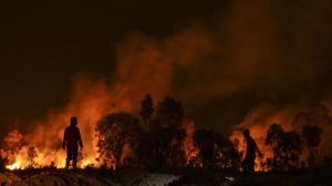 Hutan Kecamatan Nyalindung Kebakaran, Tim Gabungan Dikerahkan Padamkan Api