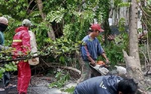 DKPB Kota Bandung Imbau Warga Siaga Potensi Bencana saat Cuaca Ekstrem