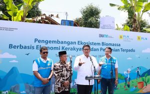 Ubah Lahan Kritis, PLN Kembangkan Ekosistem Biomassa Berbasis Pertanian Terpadu