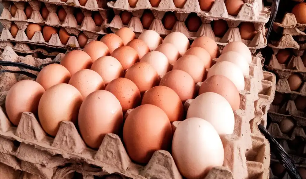 Informasi Harga Telur Ayam di Purwakarta: Cek Update Terbaru