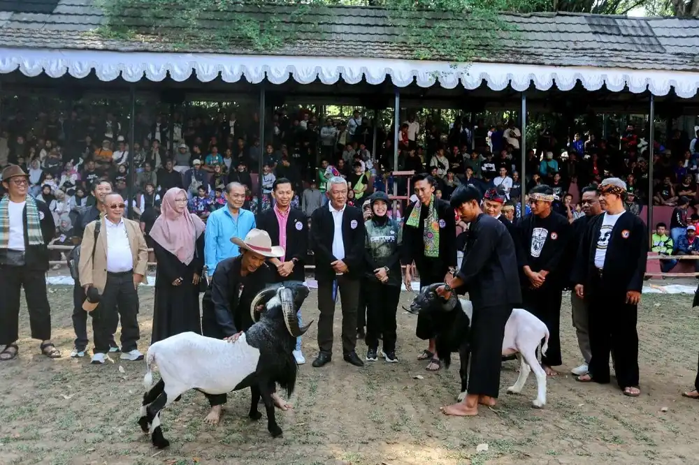 Peringati Hari Jadi Kota Bandung, Pemkot dan HPDKI Gelar Lomba Ketangkasan Domba