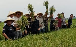 Panen Raya Budidaya Digjaya di Bandung Jadi Mitigasi Krisis Pangan