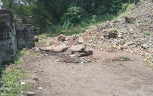 Pasca Jebol Penangkaran Buaya, Lurah Sayang Cianjur Ungkap Hal Ini
