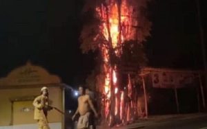 Pohon Beringin Berusia Ratusan Tahun di Pamarican Ciamis Terbakar Secara Misterius