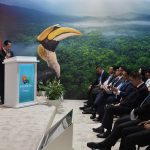 COP29 Azerbaijan