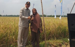 Daddy Rohanady Dorong Kesejahteraan Petani Jawa Barat Melalui Pendekatan Ilmiah