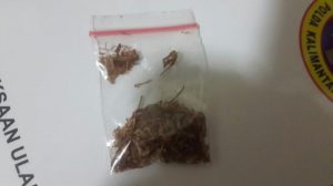 Penghuni Kontrakan di Antapani Bandung Produksi Tembakau Gorilla Siap Edar
