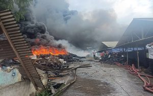 Gudang Ban Bekas dan Peternakan Ayam di Mande Cianjur Dilalap Si Jago Merah