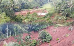 Petani Cipaku Rugi Ratusan Juta Akibat Sawah Tertimbun Longsor, Pemerintah Diminta Bertindak Cepat