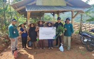 PLN Peduli Rehabilitasi Lahan Kritis Jadi Bernilai Ekonomis dengan Sistem Agroforestri