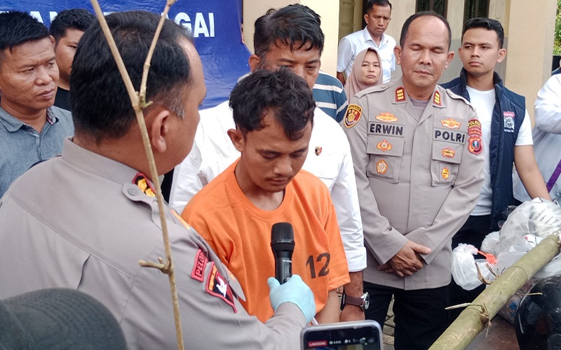 Pembunuhan