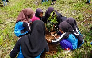 PLN Ajak Generasi Muda Hijaukan Desa, 1.400 Pohon Ditanam Bersama Siswa SD