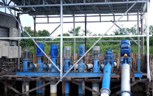 Electrifying Agriculture PLN: Dorong Pertanian Modern, Tambah 53.539 Pelanggan Baru di 2024