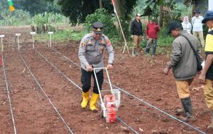 Penanaman Jagung Serentak 1 Juta Hektar di Purwakarta, Langkah Strategis Menuju Swasembada Pangan