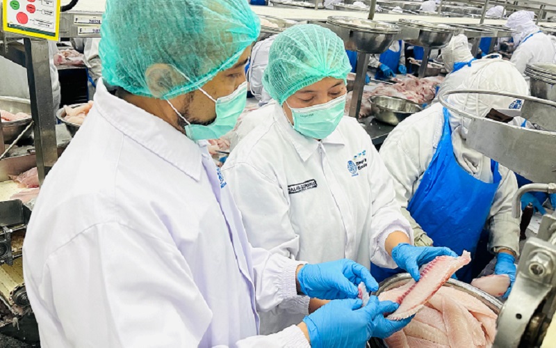 Tinjau Proses Pengolahan Ikan Tilapia RSI, Kemenko Pangan Beberkan Hal Ini