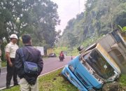 Truk Bermuatan 5 Ton Telur Terguling di Purwakarta, Ini Dugaan Sementara Polisi