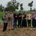 Program Bumi Hijau