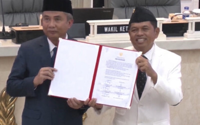 Dedi Mulyadi