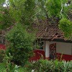 SDN Suksari Cianjur