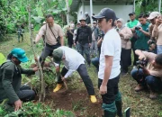 Jaga Sumber Air Bersih Purwakarta, Om Zein Tanam 1000 Pohon di Leuweung Tiis