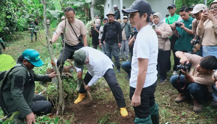 Jaga Sumber Air Bersih Purwakarta, Om Zein Tanam 1000 Pohon di Leuweung Tiis