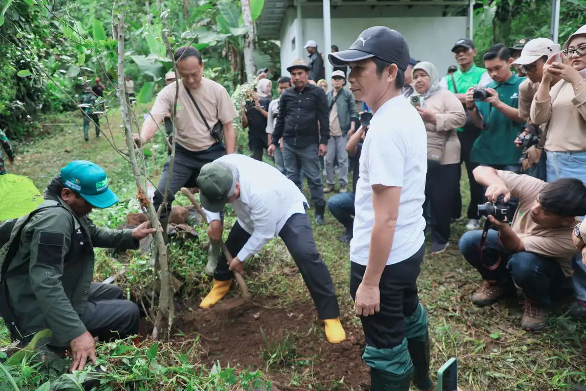 Bupati Purwakarta Om Zein tanam 1000 pohon di Leuweung Tiis untuk jaga air bersih Purwakarta dan konservasi hutan. (Foto: Diskominfo Purwakarta)