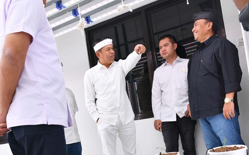Dedi Mulyadi