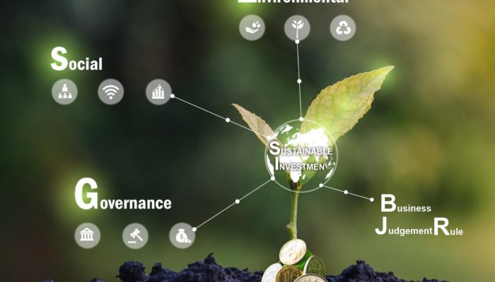 Business Judgment Rule:  Strategi Investasi Keberlanjutan bagi  Perusahan