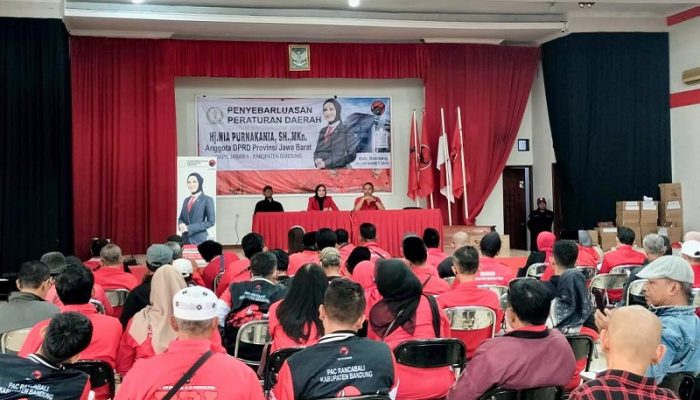 DPRD Jabar Dorong Pengembangan Ekonomi Kreatif, Nia Purnakania: Pelaku Usaha Harus Diberi Dukungan