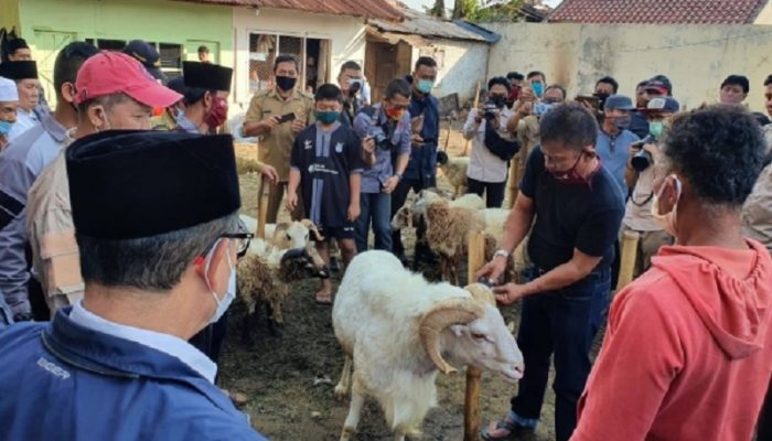 Kurangi Kemacetan di Pusat Kota, Pemkab Cianjur Relokasi Pasar Hewan Cikaret