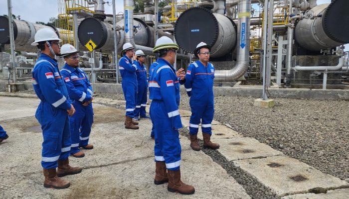 Dukung Net Zero Emission 2060, PLN Percepat Pembangunan Pembangkit Energi Hijau