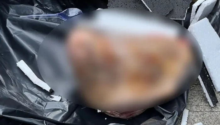 Teror Kepala Babi ke Tempo, Kebebasan Pers Kembali Terancam!