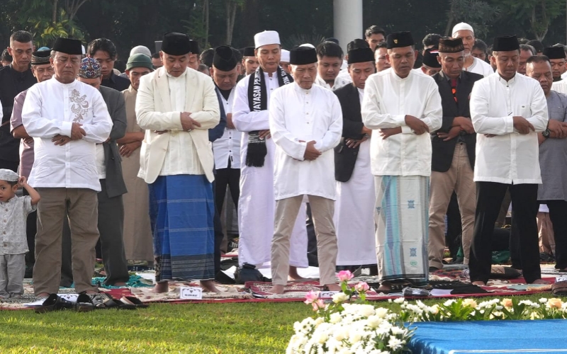 Dedi Mulyadi
