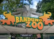 Konflik Manajemen Bandung Zoo, Pemkot Bandung Serahkan Penanganan ke Penegak Hukum