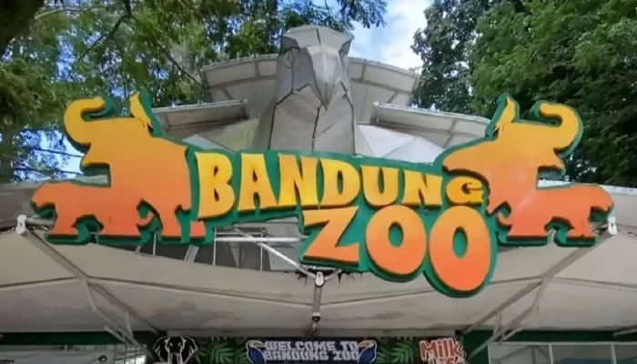Fokus Tangani Dugaan Korupsi, Kejati Jabar Tegaskan Tak Berwenang Kelola Bandung Zoo