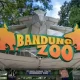 Bandung Zoo, salah satu pilihan destinasi wisata edukasi keluarga saat liburan lebaran (Foto: Instagram@bandung-zoo)