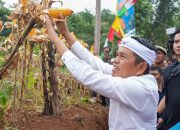 Dedi Mulyadi Bantah Isu Anggaran Rp 27 Miliar untuk Lembur Pakuan, Sebut Itu Hasil Kerja Kerasnya