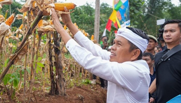 Dedi Mulyadi Bantah Isu Anggaran Rp 27 Miliar untuk Lembur Pakuan, Sebut Itu Hasil Kerja Kerasnya