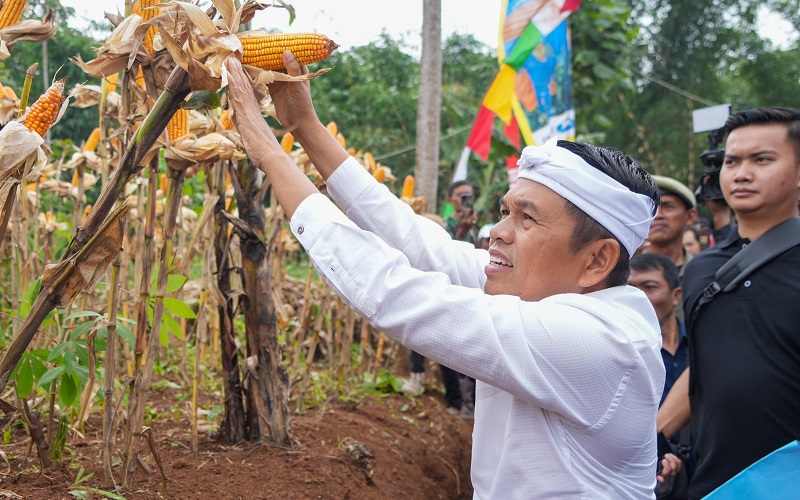 Dedi Mulyadi