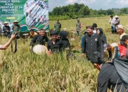 Om Zein Panen Raya Bareng Warga, Tegaskan Sawah Purwakarta Tak Boleh Hilang