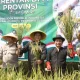 Bupati Purwakarta Om Zein panen raya bersama warga dan Forkopimda di Desa Cisaat, Kecamatan Campaka, Kabupaten Purwakarta, bagian dari Panen Raya Serentak di 14 provinsi, Senin (7/4/2025). (Foto: Diskominfo Purwakarta)