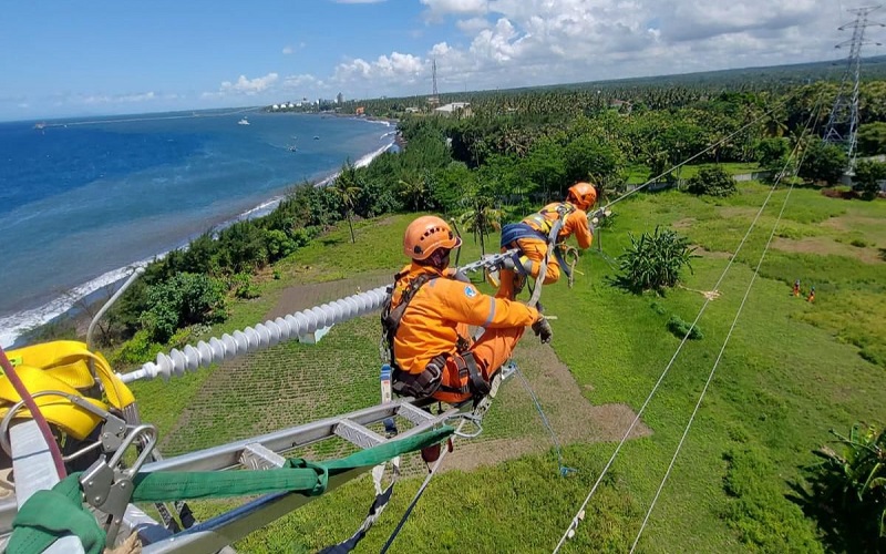 PLN