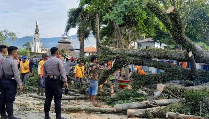 Pohon Besar Tumbang di Garut, Tiga Motor Rusak dan Satu Orang Luka Ringan