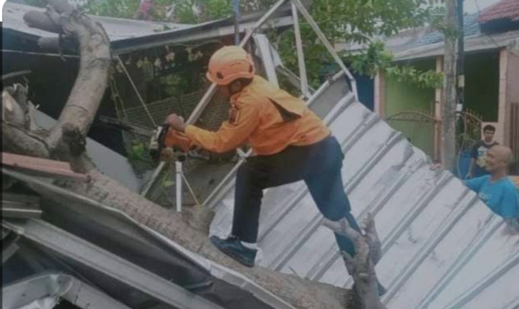 Petugas BPBD sedang menertibkan puing-puing akibat angin puting beliung.