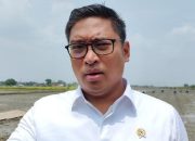 Karawang Kunci 87 Ribu Hektare Sawah dari Alih Fungsi Lahan, Wamentan Ungkap Hal Ini