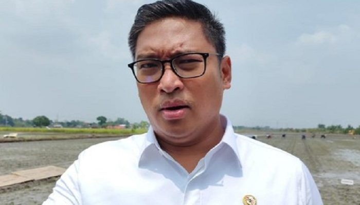 Karawang Kunci 87 Ribu Hektare Sawah dari Alih Fungsi Lahan, Wamentan Ungkap Hal Ini