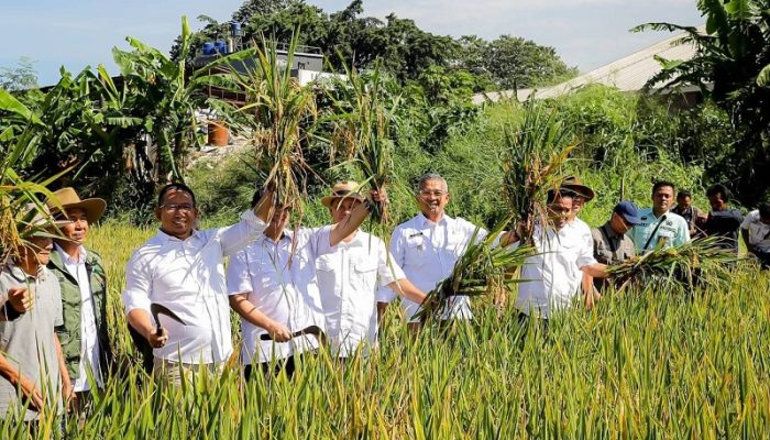 Toni Wijaya Dukung Ketahanan Pangan di Bandung