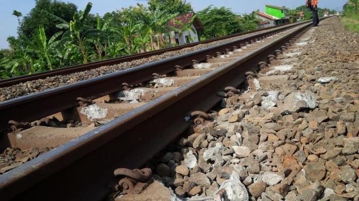 Jalur kereta api