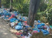 Lima Titik Pembuangan Sampah Ilegal Ditemukan di Hutan Karawang, Kemenhut Siapkan Sanksi Tegas